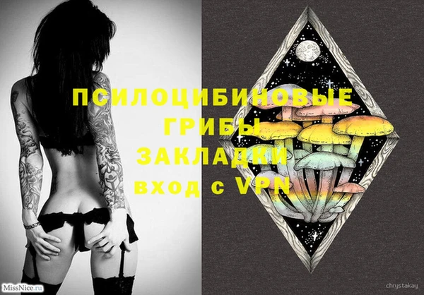 PSILOCYBIN Абинск