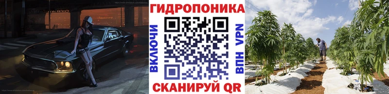 дарк нет Telegram  Королёв  Марихуана OG Kush 